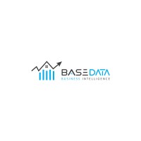 BaseData Bi Logo
