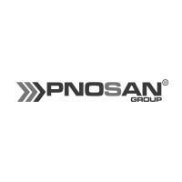 PNÖSAN GROUP Logo