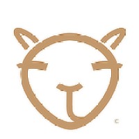 TheCamelProject Logo