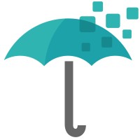 Drizzle Digital Logo