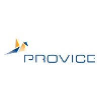 PROVICE Business and IT Service Provider and Consulting Ltd. Logo