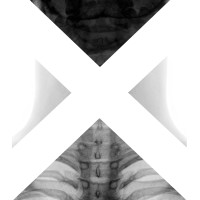 Xsection Film Festival Logo