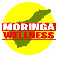 Moringa Wellness Logo