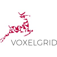 Voxelgrid GmbH Logo