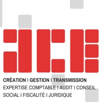 ACE Audit et Conseil des Entreprises Logo
