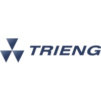 Trieng Técnica Industrial Ltda Logo