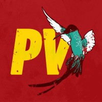Positive Vibration - Festival of Reggae Logo