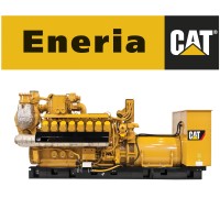 Eneria CAT Polska Logo