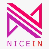 niceinsa.com Logo