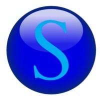 Source Real Estate Services Logo