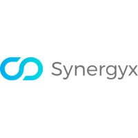 Synergyx Consulting - Synergyx Conseils Logo