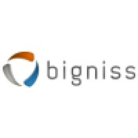 BIGNISS LTDA. Logo