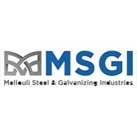 MSGI Logo