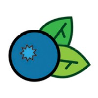 BlueberryCMS Logo