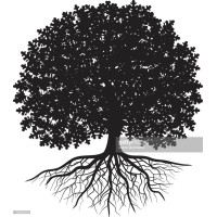 Oakhurst Partners, LLC Logo