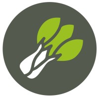 Paksoy Technology Solutions Logo