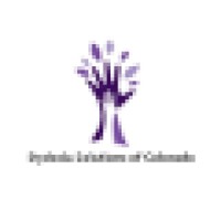 Dyslexia Solutions of Colorado Logo