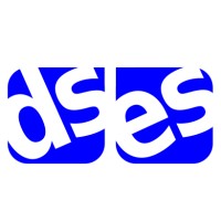 Daniel Schirm E-Services Logo