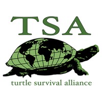 Turtle Survival Alliance Logo