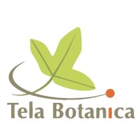 Tela Botanica Logo