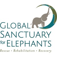 Global Sanctuary for Elephants Logo