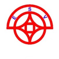 ESV Group Logo