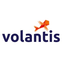 Volantis Logo