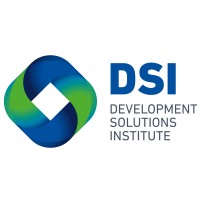 Development Solutions Institute Logo