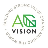 AgVision International Logo