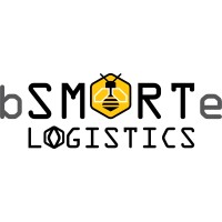 bSMARTe Solutions Logo