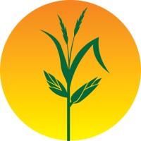 Healthy Harvest Food Bank Logo