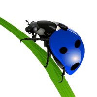 Ladybird Blues Studios Logo