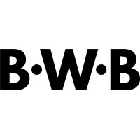 Bold Woman Brands Logo