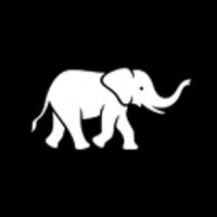 Peter Schmidt Group Logo