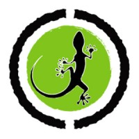 FreshGecko Productions - Video Communications Company Logo