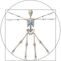 Permanence Ostéopathique de Genève Logo