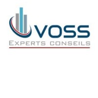 VOSS experts-conseils inc. Logo