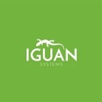 Iguan Systems LLC Logo