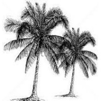 JEANIOLOGIE INC. Logo