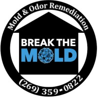 Break The Mold LLC Logo