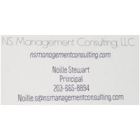 NS Management Consulting, LLC Logo