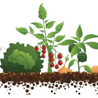 Greenleaf Gardens Logo