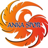 Anka Spor Okulları Logo