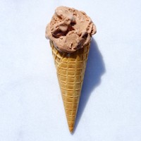 Fields Gelato Logo