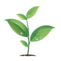 Gratitude Seeds Logo