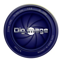 Dig image Limited Logo