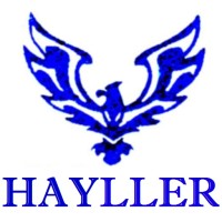 HAYLLER LOGISTICS INTL CO. Logo