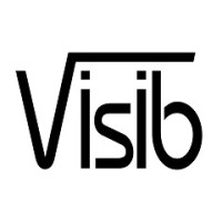 Visib Oy Logo