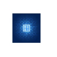 BCSI - BlockChain Strategies & Innovations Logo