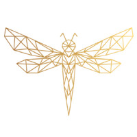 DragonFly Eye Logo